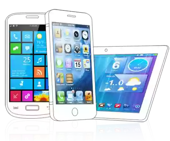 Wordpress Development Delhi